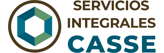 Consultoría CASSE